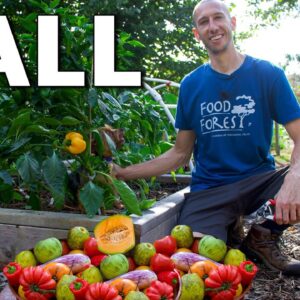 Late October Garden Harvest and Tour 👨‍🌾