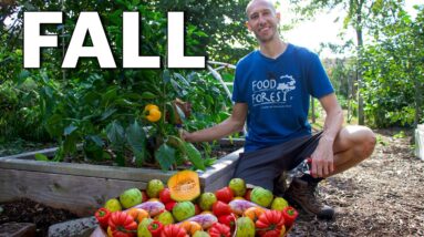 Late October Garden Harvest and Tour 👨‍🌾