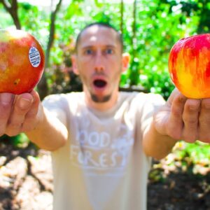 Store Bought Apples VS Home Grown, This is NOT What I Was Expecting!