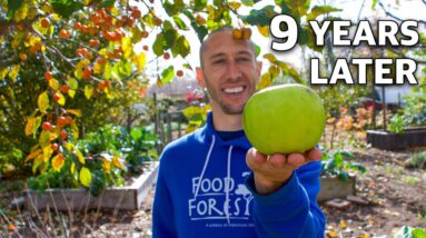 What Happens When You Grow an Apple Tree FROM SEED, 9 Years Later!