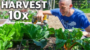 7 Brilliant Methods for TONS of Food in a TINY Garden