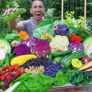 Shocking Suburban Garden Harvest, Backyard Permaculture Food Forest