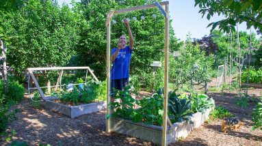 How to Build a Cucumber Trellis Using Only ONE PIECE of WOOD, CHEAP and EASY Backyard Gardening