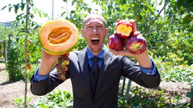 This Approach To Growing Food Will CHANGE The Way You Garden!