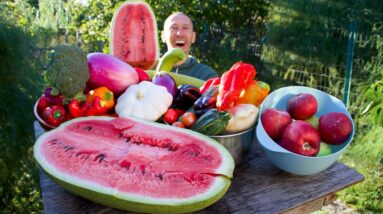 Colorful October Garden Harvest and Tour, If You Want Organic Food You Have to Grow it Yourself