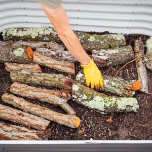 One Year Later, I Filled a Deep Raised Bed with Logs to Save Money on Soil!