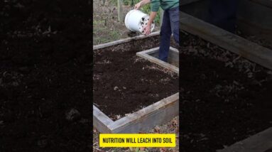 Raised Beds Winter and Spring Prep!