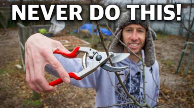 This Technique of Pruning Trees Will Change Your Life