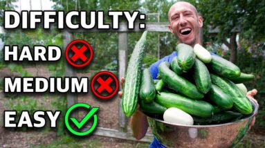 10 Crop Varieties to ALWAYS BE GROWING, Garden on Easy Mode!