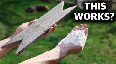 they doubted that it could be done... How to Actually get ORGANIC FRUIT from your Backyard Garden