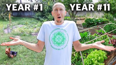 THIS IS NOT How the Garden Was Supposed to Turn Out..