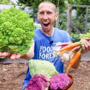 Permaculture Garden Harvest | Organic BACKYARD Gardening at it's Best