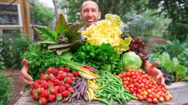 Unbelievable Backyard Garden Harvest, This is What I Harvested Today!