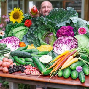 Massive Backyard Gardening Harvest, The Best Food Money Can't Buy!