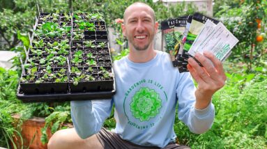 IT'S NOT TOO LATE! 7 Crops You Can STILL Plant in SEPTEMBER!