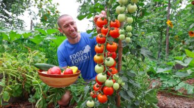 They Said This Method of Gardening WOULD NOT WORK, I Didn’t Listen...