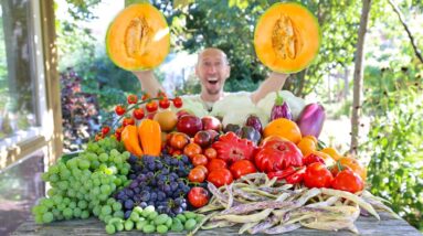 Unbelievable Late September Garden Harvest, Backyard Sustainable Gardening