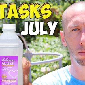 10 Garden Tasks You'd Be Foolish Not To Do in July