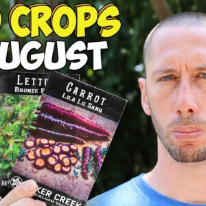 10 Crops You'd Be Foolish Not to Plant in August