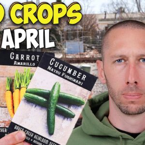 10 Crops You'll Regret Not Planting this April...