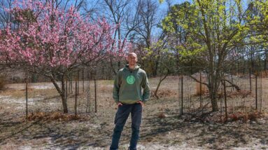 I Bought a 10 Acre Homestead Farm!
