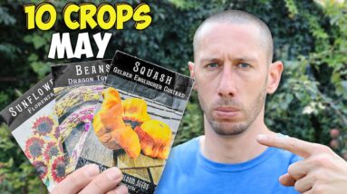 These 10 Crops Could Make or Break Your Season