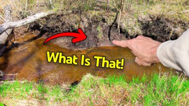You WON'T BELIEVE What I Found HIDDEN on my 10 Acre Farm