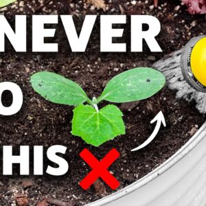 This Technique of Watering the Garden Will Change Your Life!