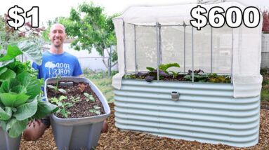 $1 vs $600 Raised Bed!