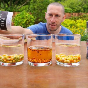 10 Crops You’d Be CRAZY Not to Plant in April