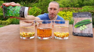 10 Crops You’d Be CRAZY Not to Plant in April