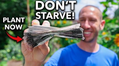 15 Perfect Crops to Plant in March