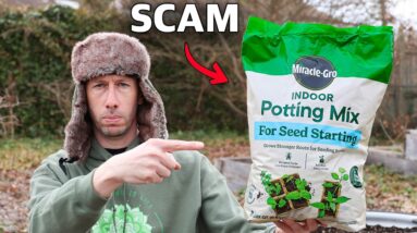 Starting Your Own Seeds Will Never Be the Same…