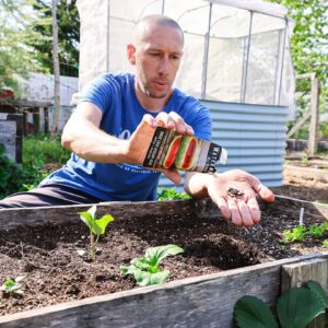 10 Crops You’d Be FOOLISH Not to Plant in May