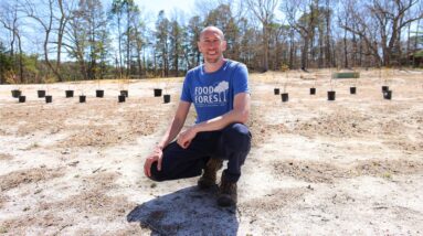 A Lot Has Changed at the 10 Acre Permaculture Farm