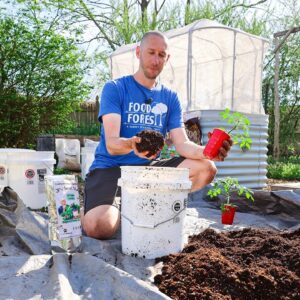 How to Grow a CONTAINER Garden, CHEAP and EASY Patio Gardening