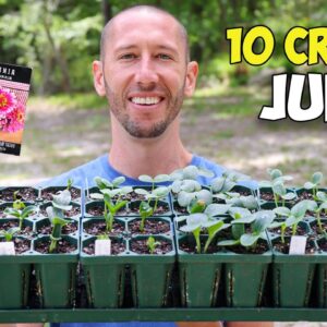10 Crops You'd Be Foolish Not to Plant in June