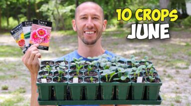 10 Crops You'd Be Foolish Not to Plant in June