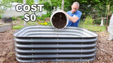 How to FILL Raised Garden Beds CHEAP and EASY
