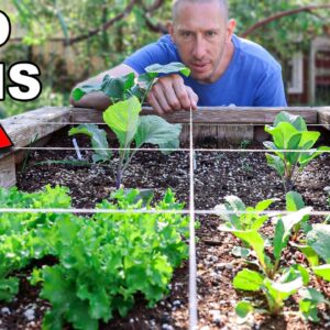 SQUARE FOOT Gardening, My Clever Way to Grow MORE Food in LESS Space