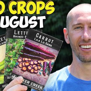 20 Crops Clever Gardeners Know to Plant in August