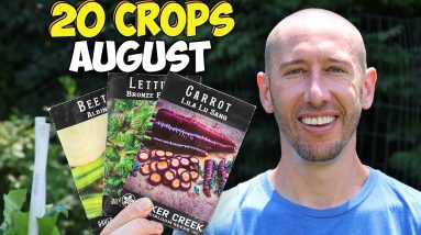 20 Crops Clever Gardeners Know to Plant in August