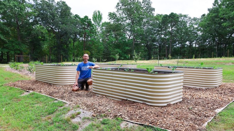 A LOT Has Happened at The Permaculture Farm!