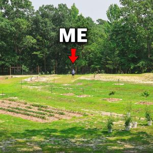 Building My Dream Farm From the Ground Up