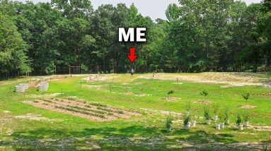 Building My Dream Farm From the Ground Up
