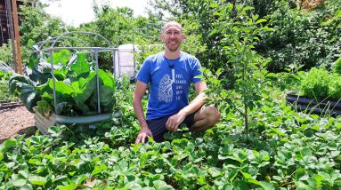Full New Jersey 10 Acre Farm and Garden Tour