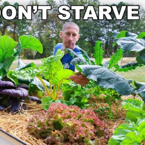 10 Cold Hardy Crops to Feed You ALL Winter