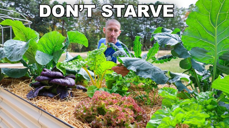 10 Cold Hardy Crops to Feed You ALL Winter