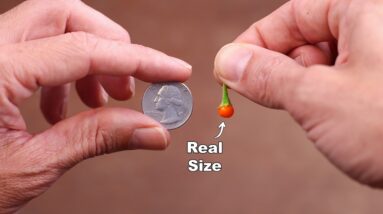 I Grew the WORLD'S smallest VEGGIE